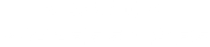 Ravon Accessory